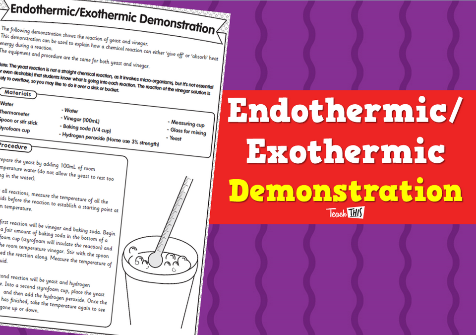 Endothermic/Exothermic - Demonstration