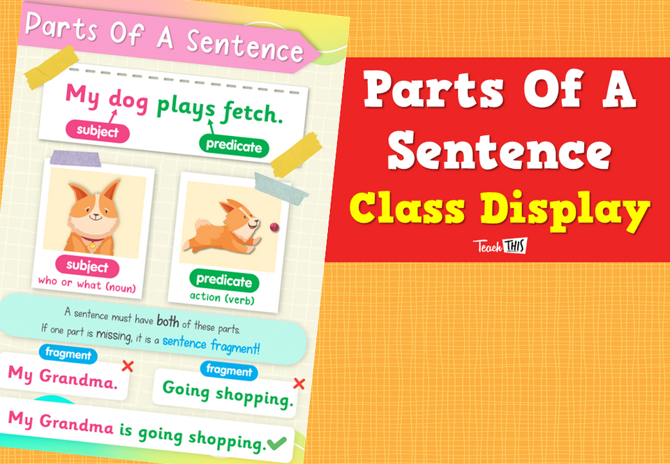 Parts Of A Sentence Class Display