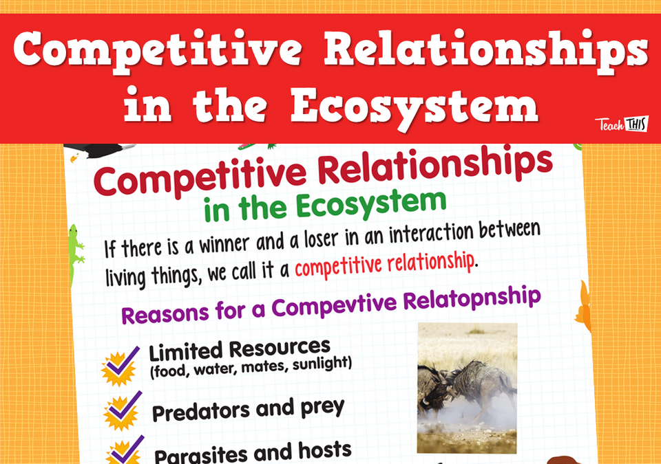 Competitive Relationships in the Ecosystem