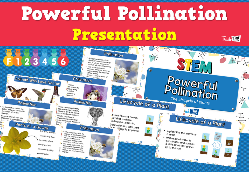 Powerful Pollination - Presentation