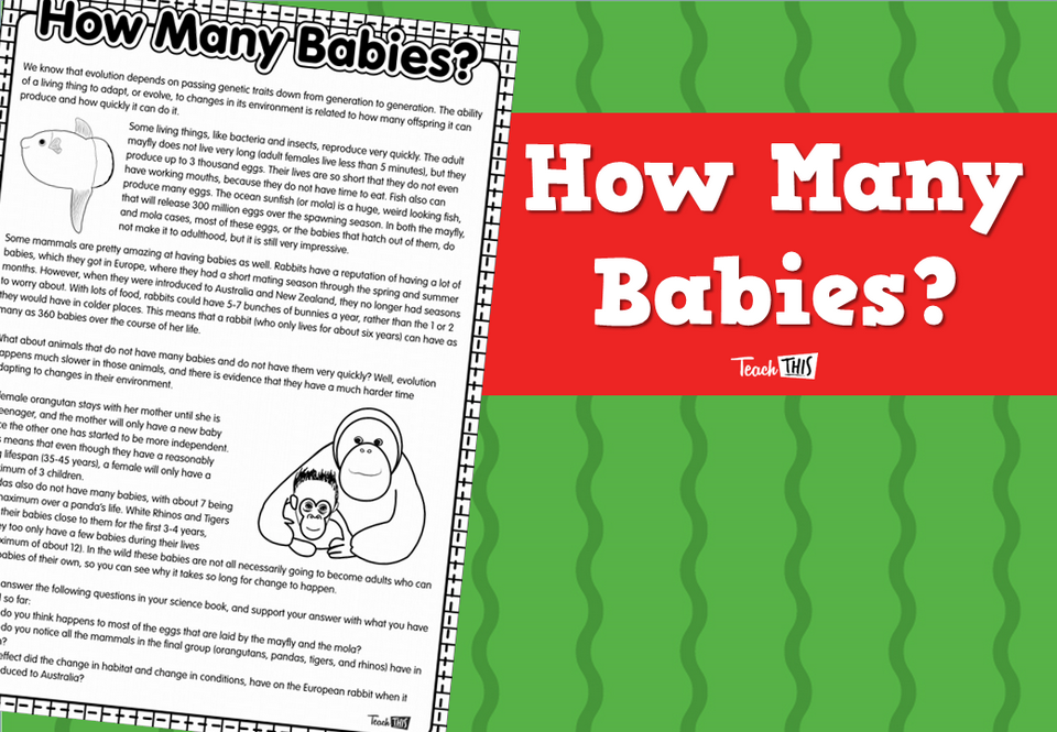 How Many Babies?