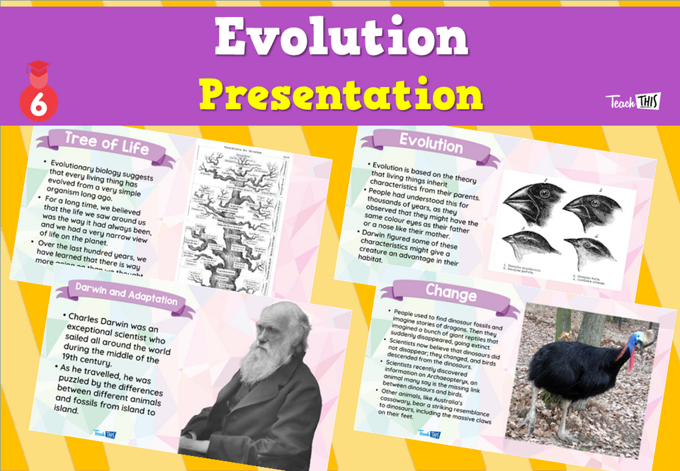 Evolution - Presentation