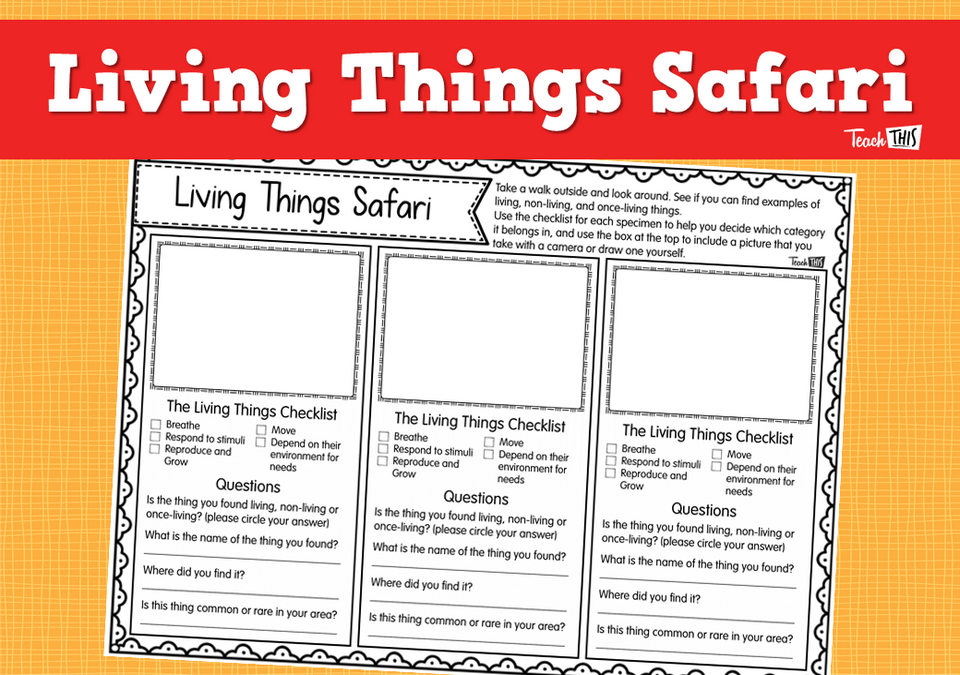 Living Things Safari