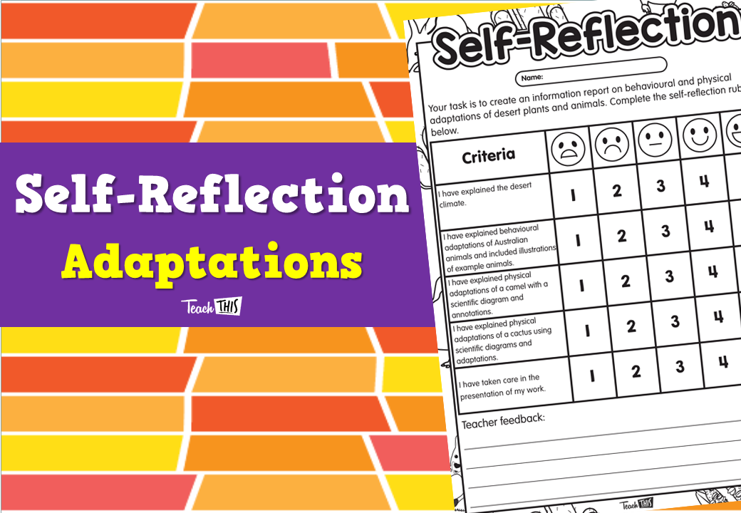 Self-Reflection - Adaptations