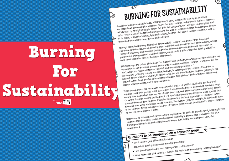 Burning For Sustainability