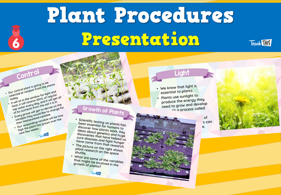 Plant Procedures - Presentation