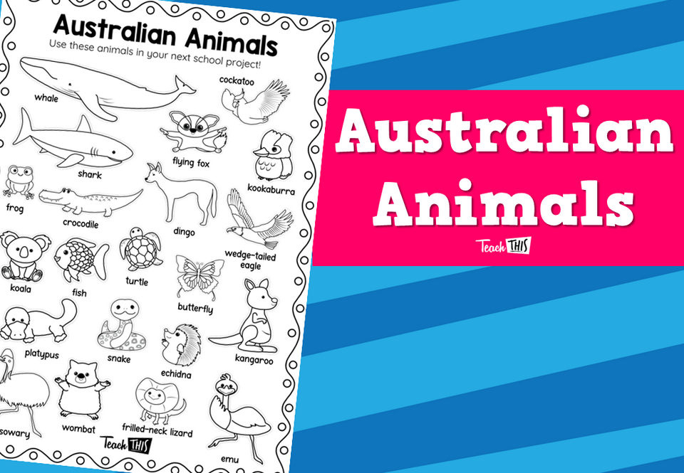 Australian Animals