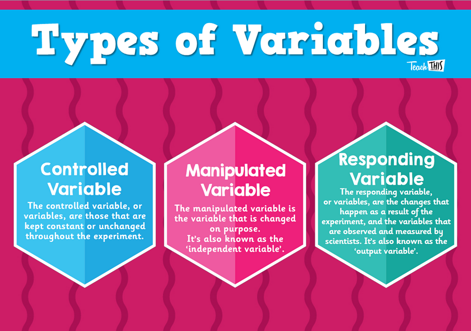 Types of Variables