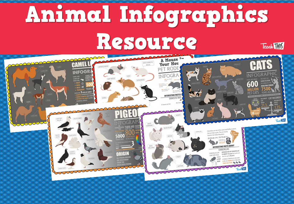 Animal Infographics Resource