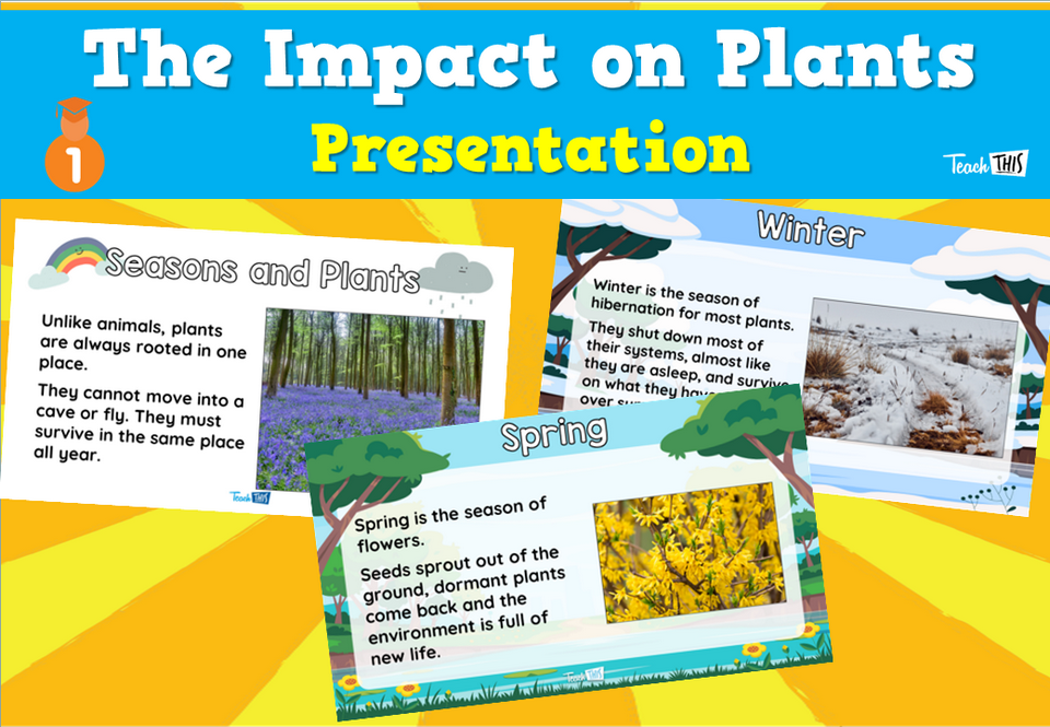 The Impact on Plants - Presentation