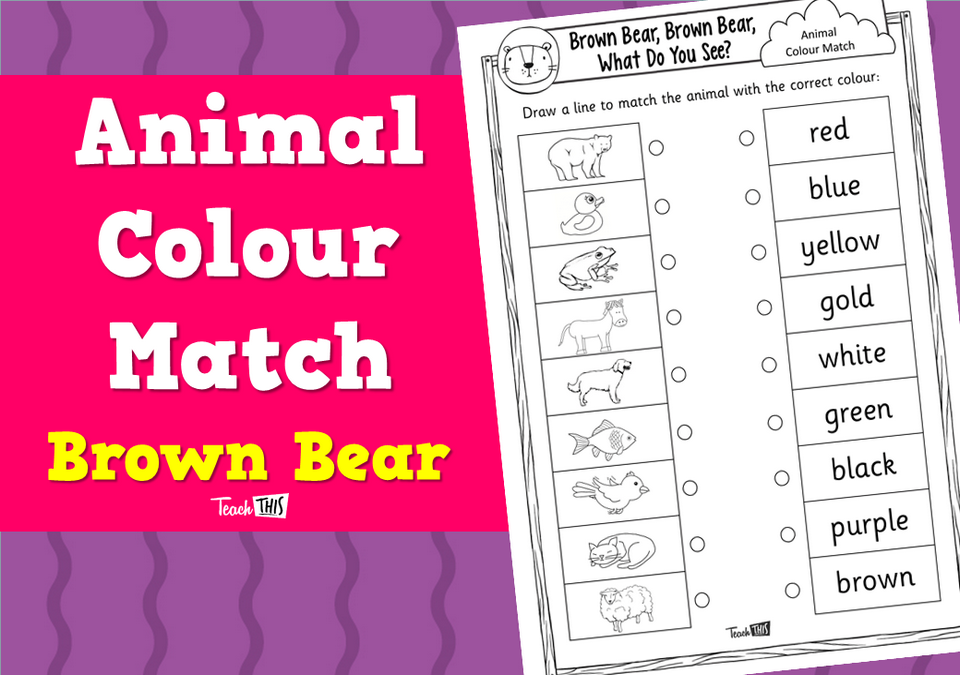 Animal Colour Match - Brown Bear