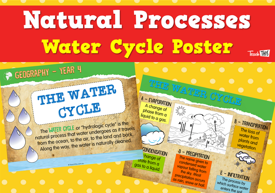 Natural Processes - Water Cycle Posters