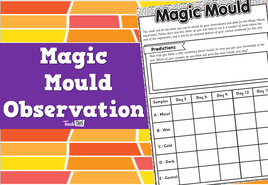 Magic Mould Observation