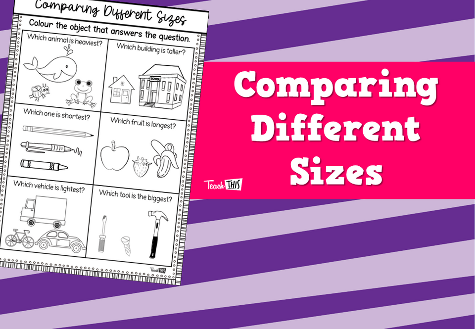 Comparing Different Sizes