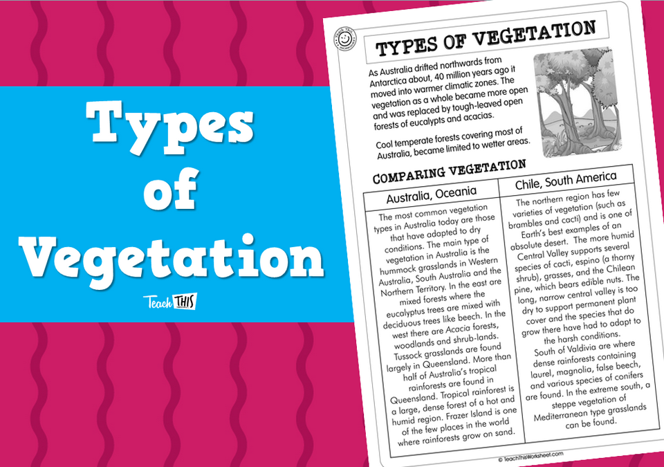 Types of Vegetation (pg3)