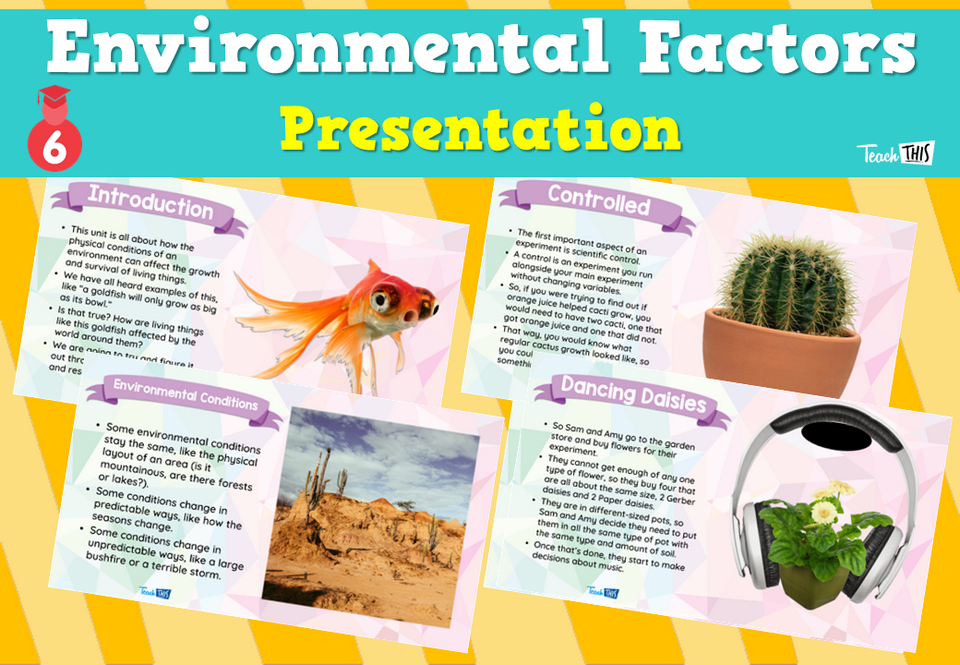 Environmental Factors - Presentation