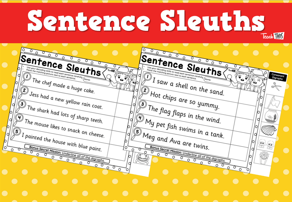 Sentence Sleuths