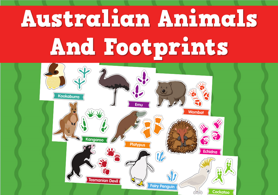 Australian Animals Footprints