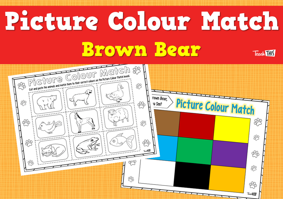 Picture Colour Match - Brown Bear