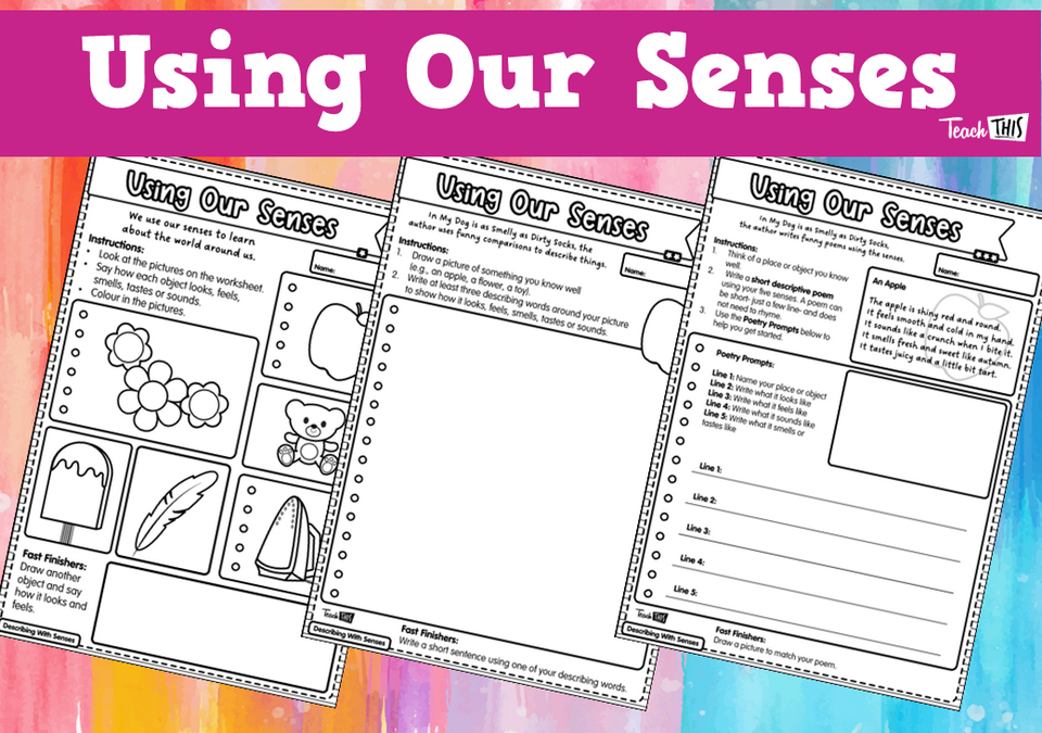 Using Our Senses