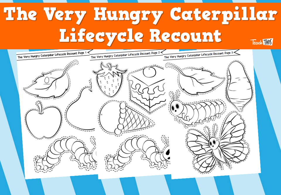 A Very Hungry Caterpillar Lifecycle Recount