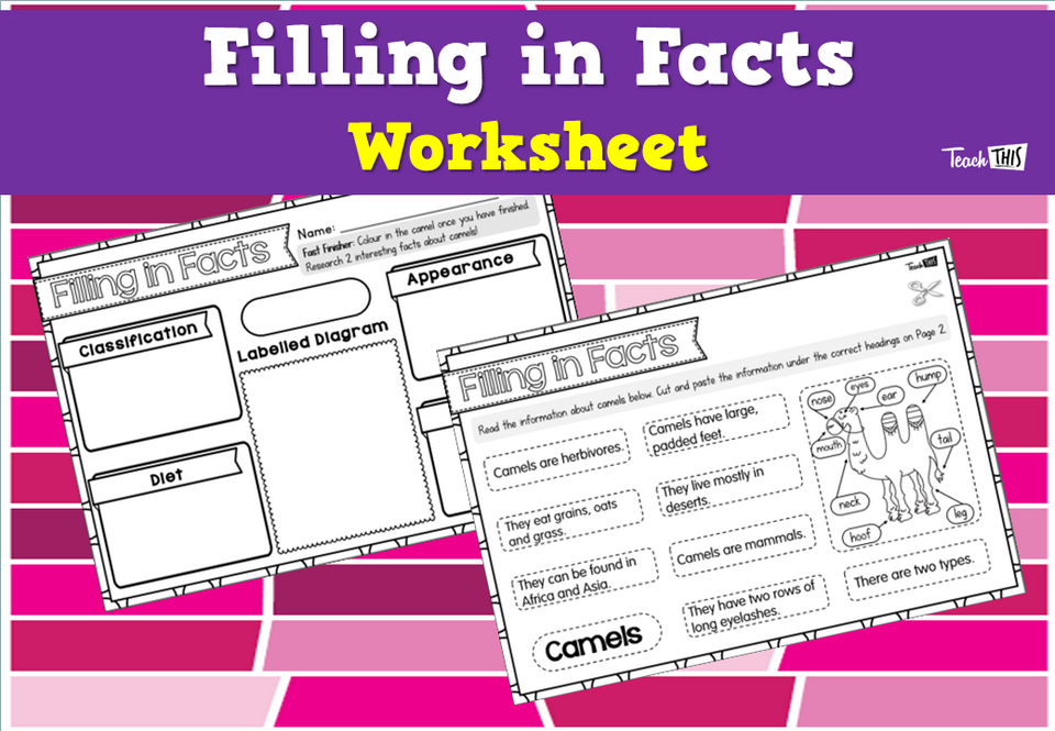 Filling in Facts - Worksheet