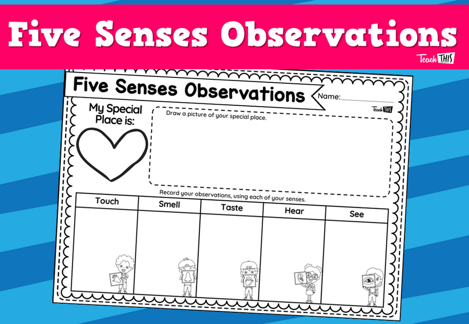 Five Senses Observations