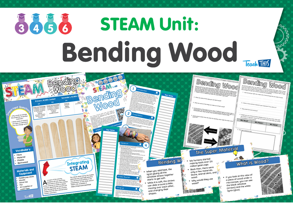 STEAM Unit: Bending Wood