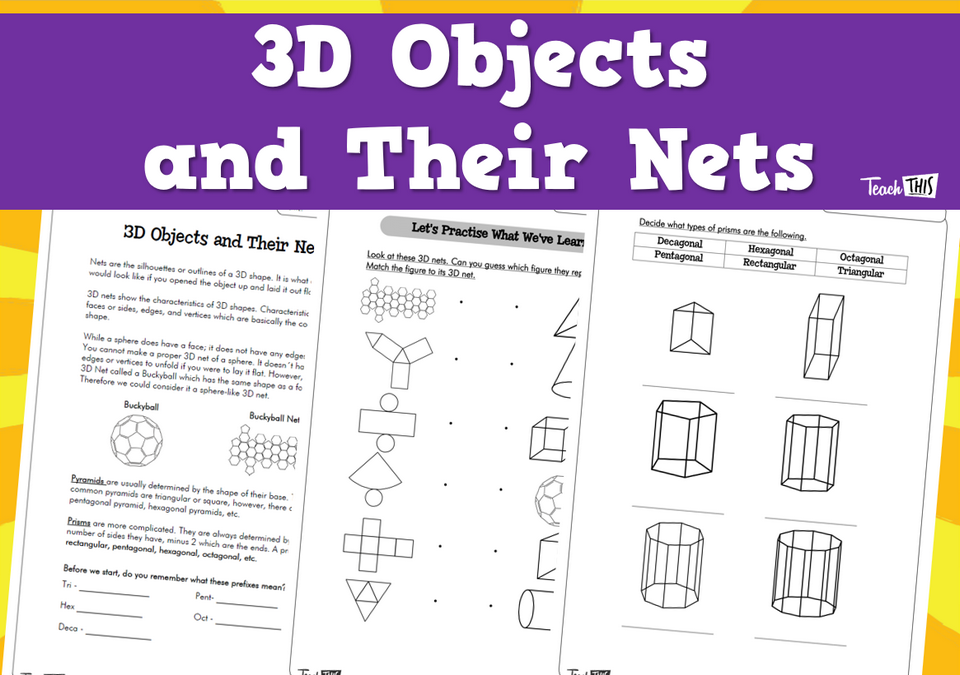 3D Objects and Their Nets