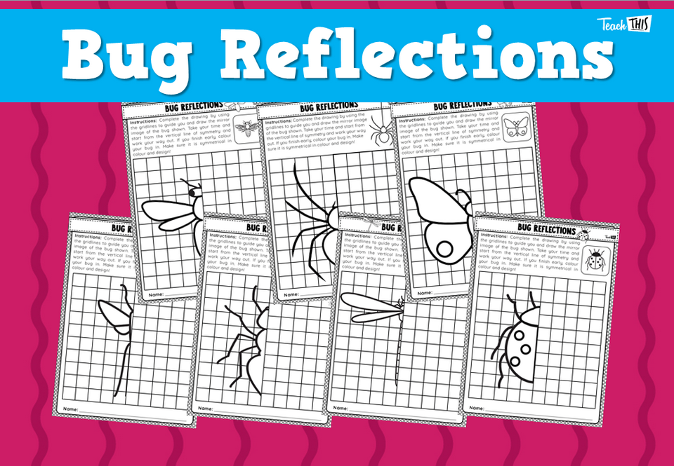 Bug Reflections