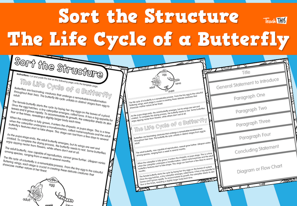Sort the Structure- The Life Cycle of a Butterfly