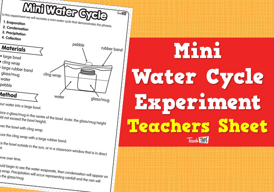 Mini Water Cycle Experiment