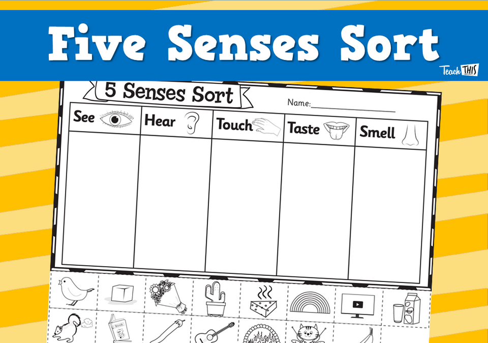 Five Senses Sort