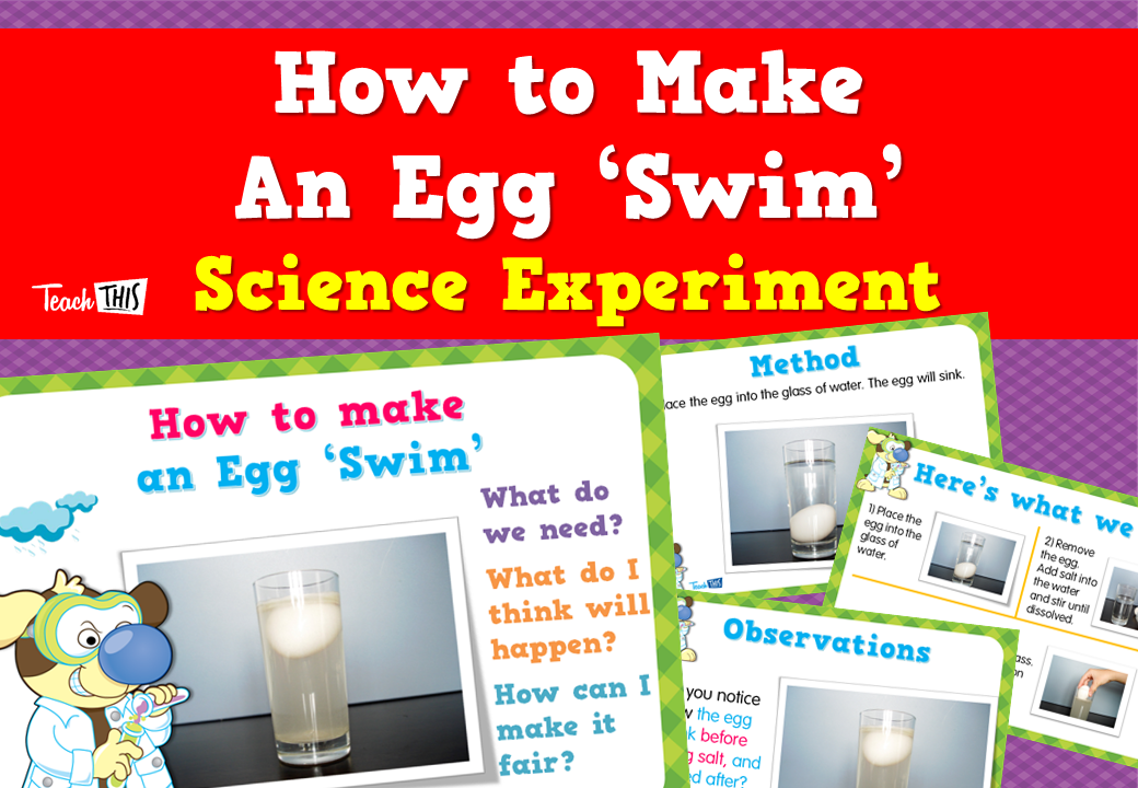 How to Make an Egg Swim