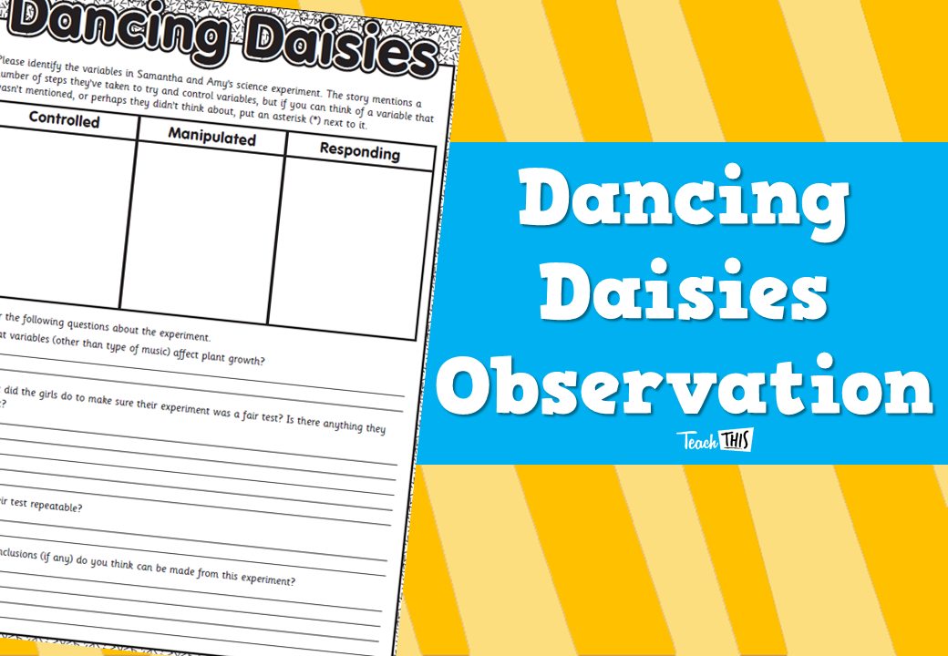 Dancing Daisies Debrief