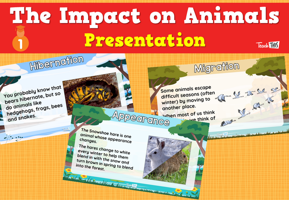 The Impact on Animals - Presentation
