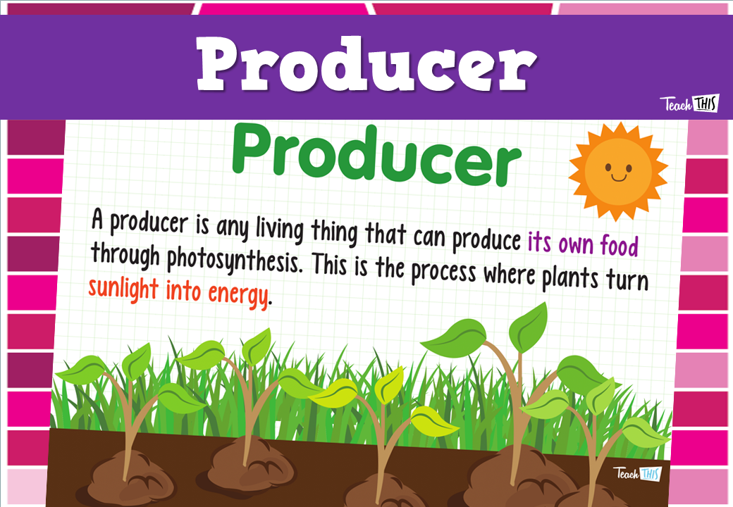 Producer