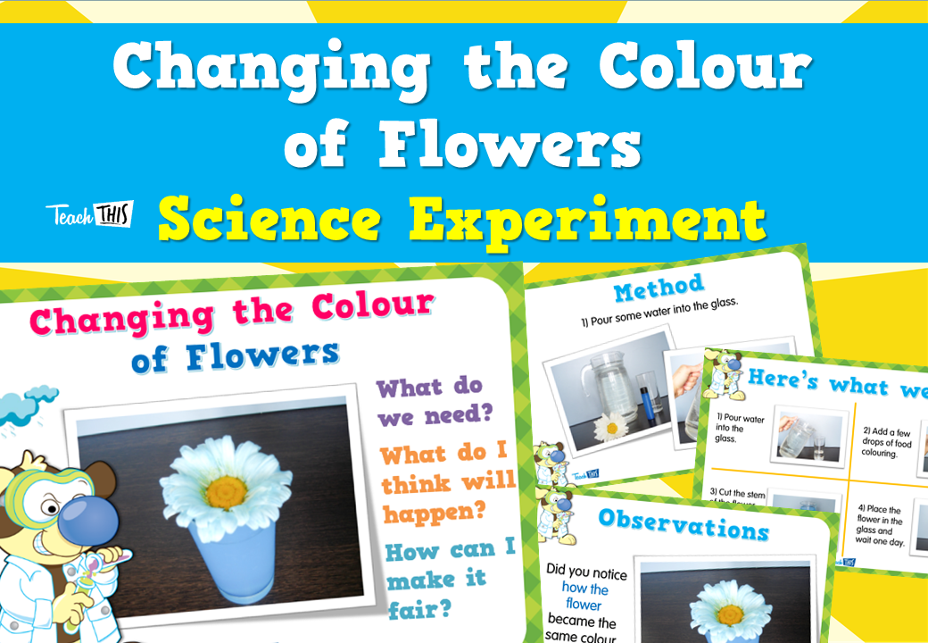 Changing the Colours of Flowers