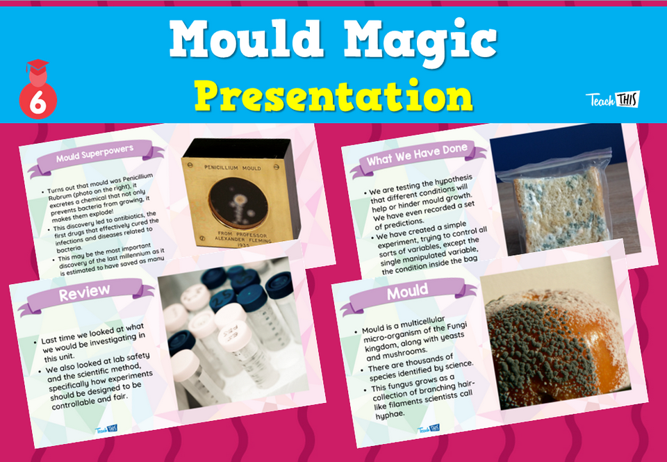 Mould Magic - Presentation