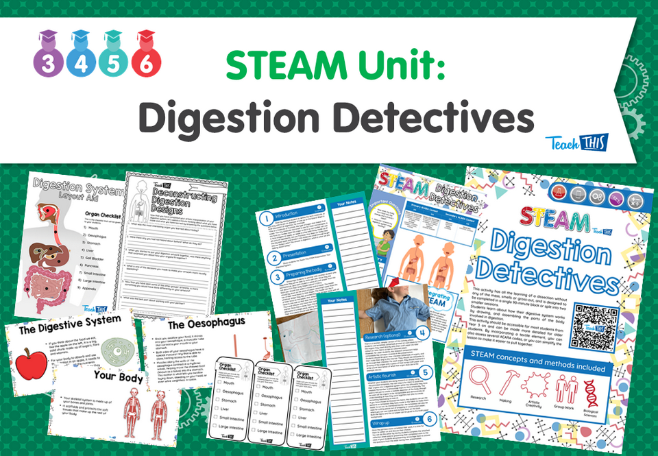 STEAM Unit: Digestion Detectives