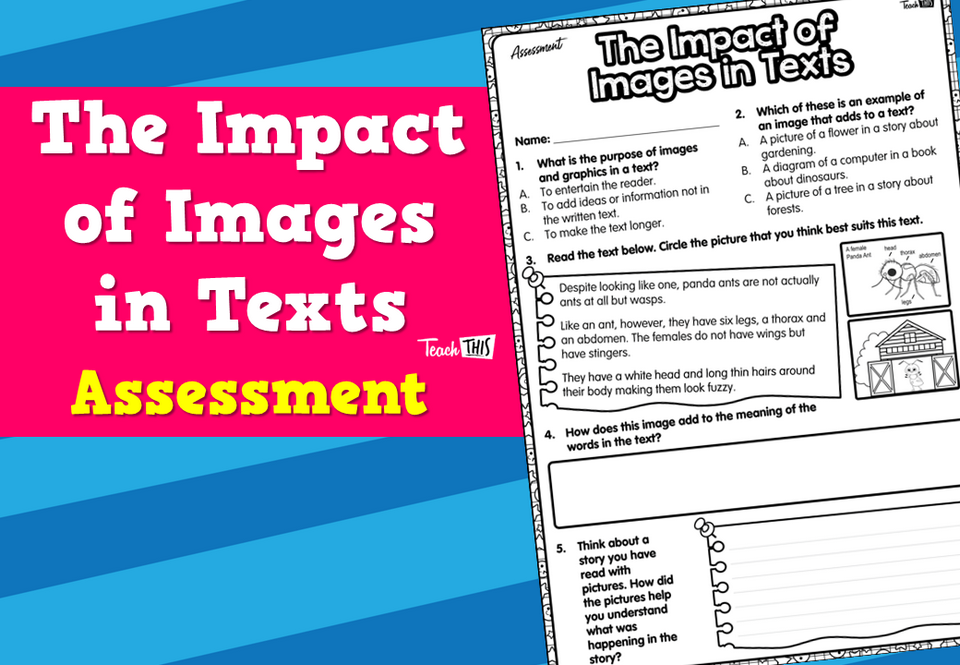 The Impact of Images in Texts Assessment