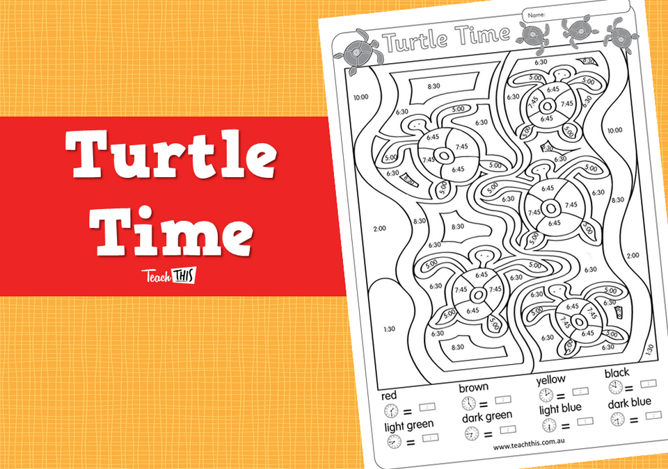 Turtle Time