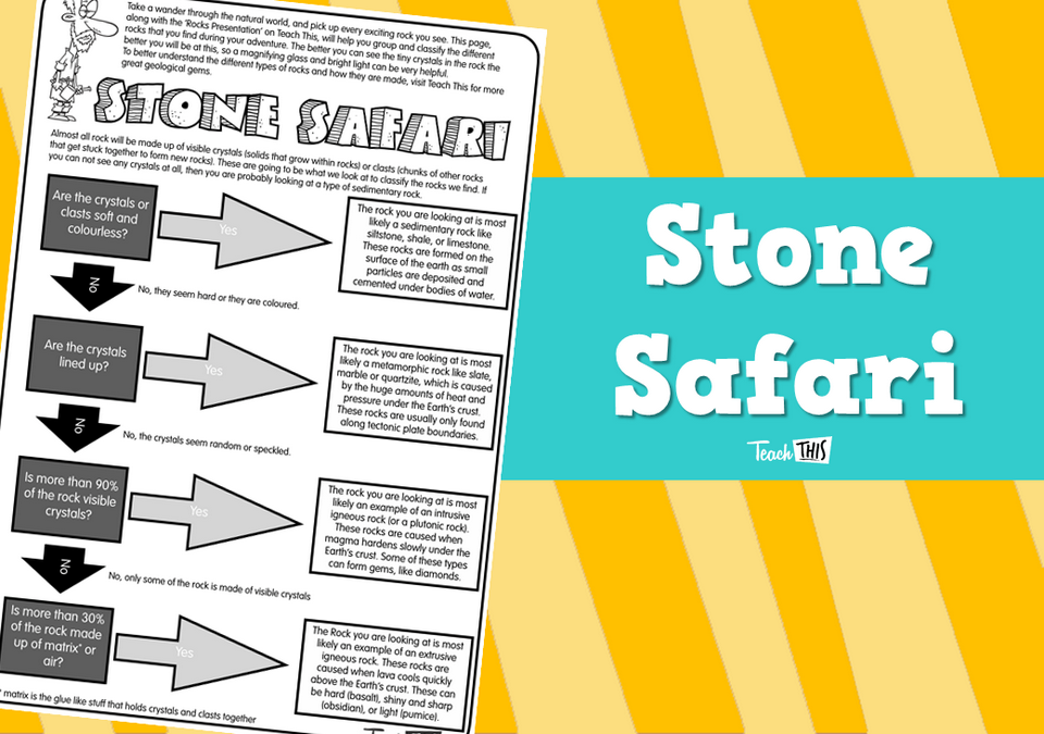 Stone Safari