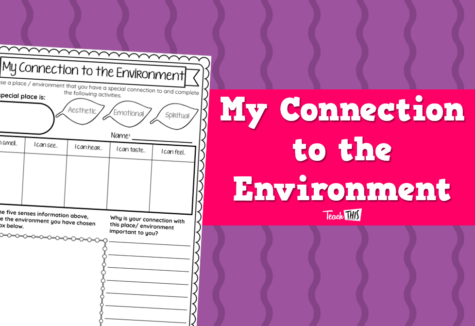My Connection to the Environment