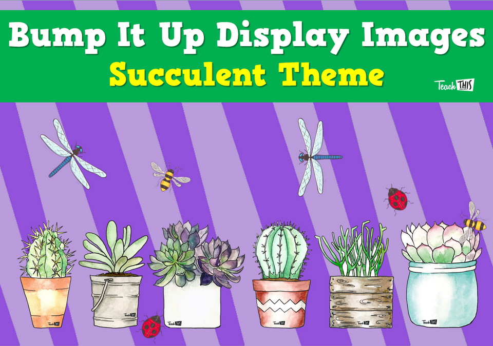 Bump It Up Display Images - Succulent Theme