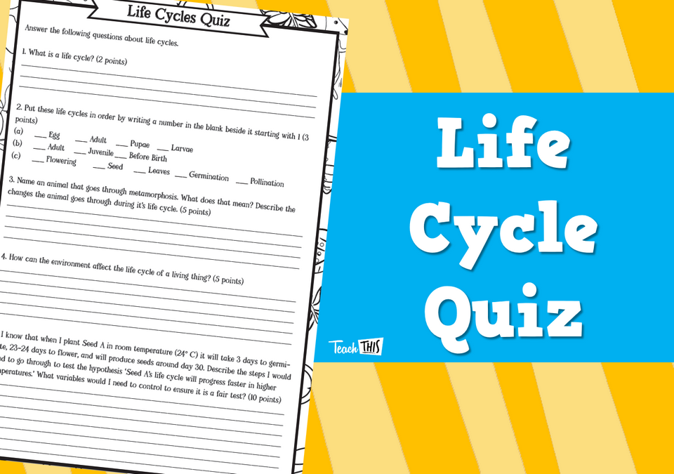 Life Cycle Quiz