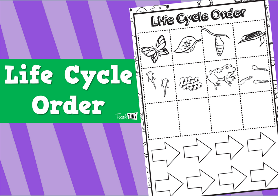 Life Cycle Order - Worksheet