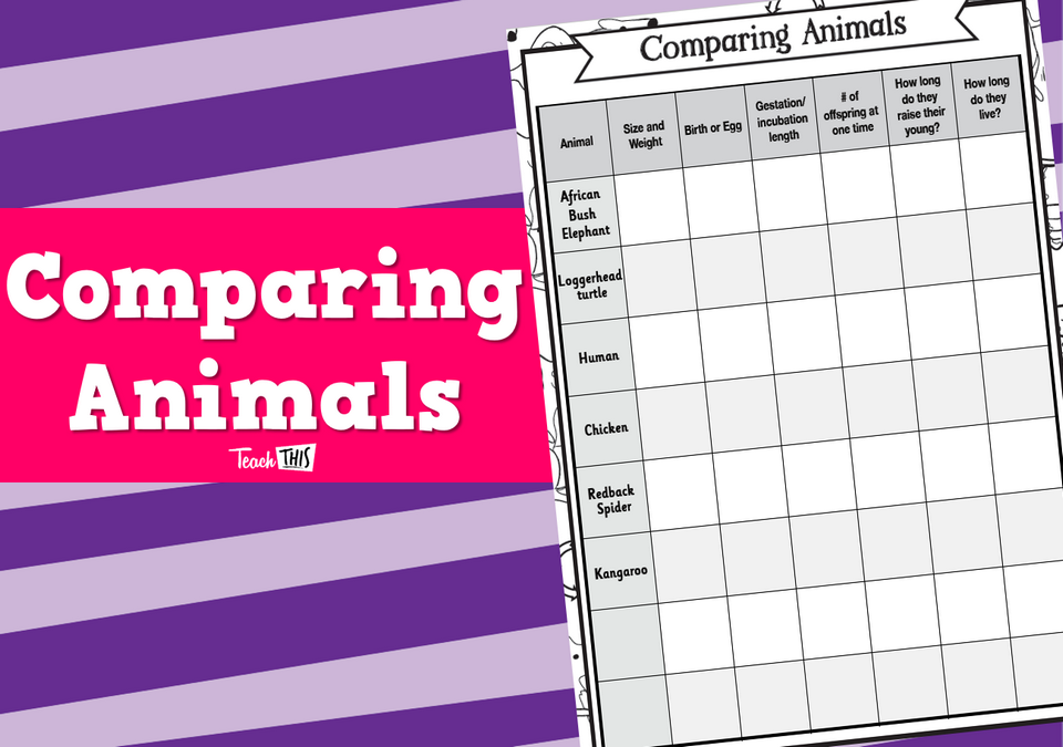 Comparing Animals - Worksheet