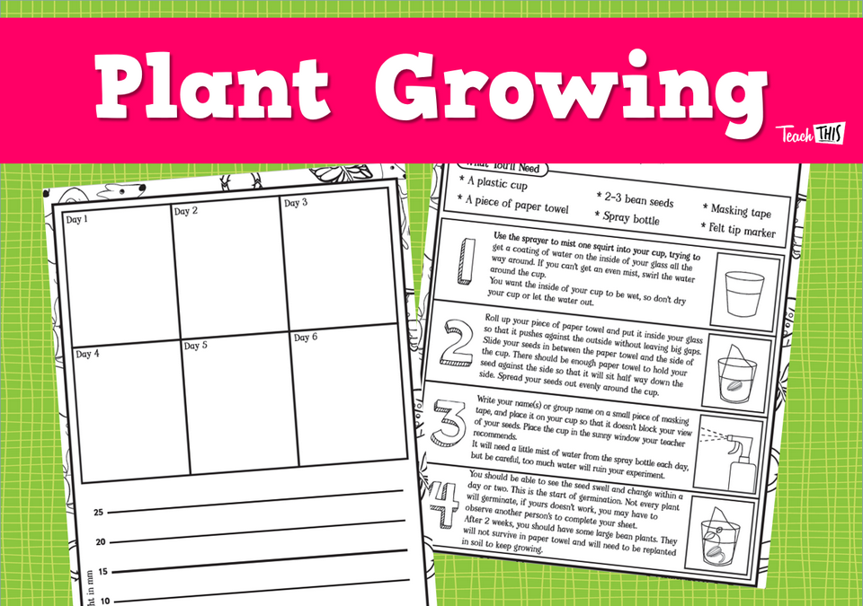 Plant Growing - Worksheet