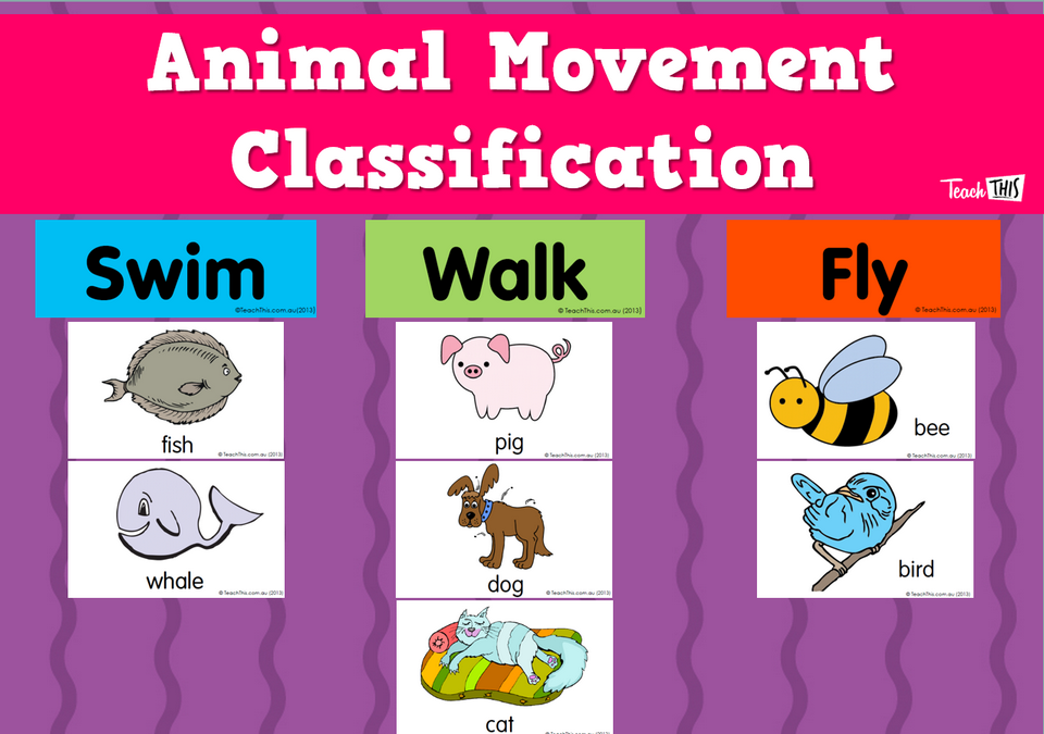 Animal Movement Classification